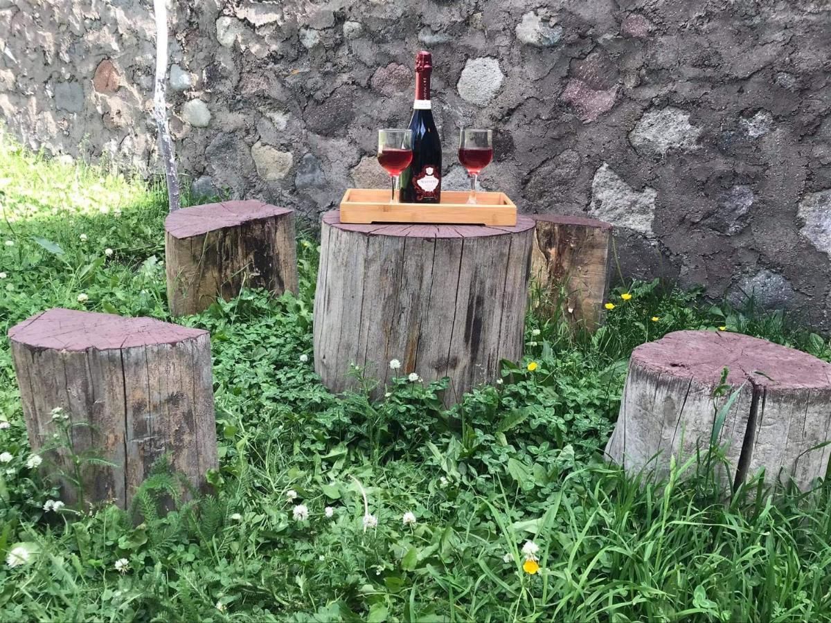 Hotel Crystal Kazbegi Zewnętrze zdjęcie