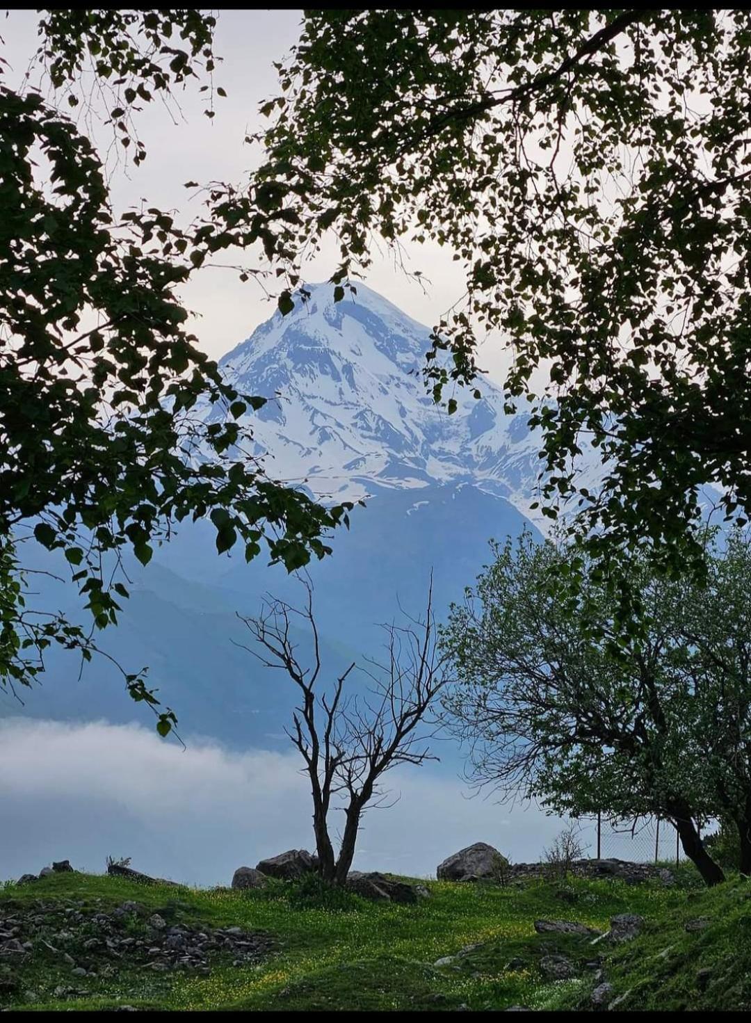 Hotel Crystal Kazbegi Zewnętrze zdjęcie